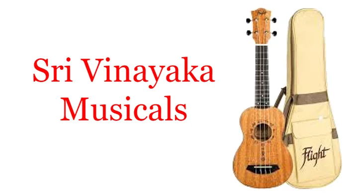 Sri Vinayaka Musicals in Dwarakanagar