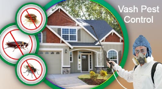 Vash Pest Control in Akkayyapalem, Visakhapatnam