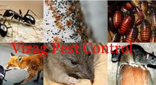 Vizag Pest Control in Pedawaltair, Visakhapatnam