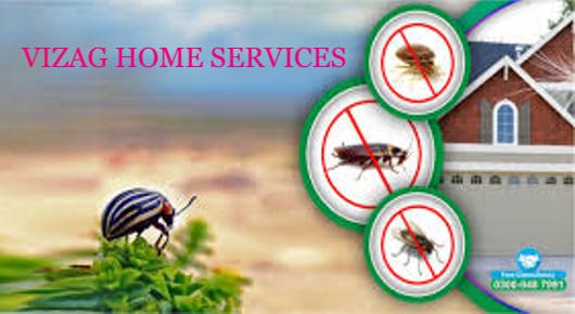 VIZAG HOME SERVICES in Dwarakanagar, Visakhapatnam