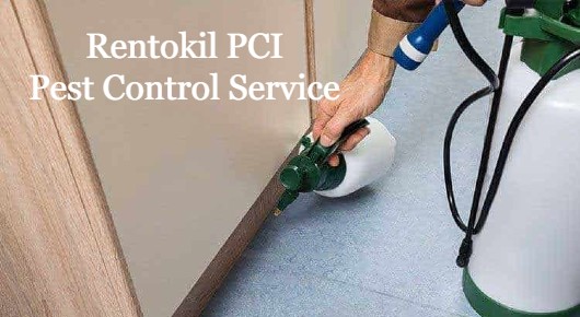 Rentokil PCI Pest Control Service in Dwarakanagar, Visakhapatnam