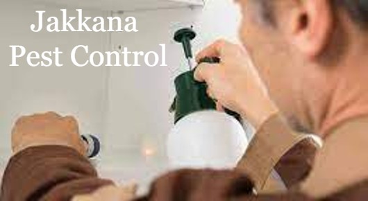 Jakkana Pest Control in Araku, Visakhapatnam