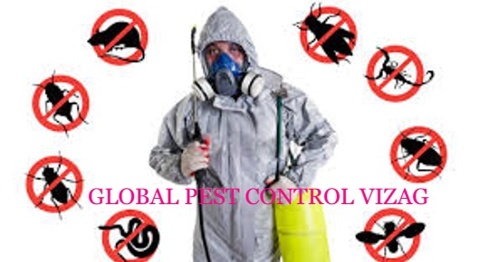 GLOBAL PEST CONTROL VIZAG in Sriharipuram, Visakhapatnam