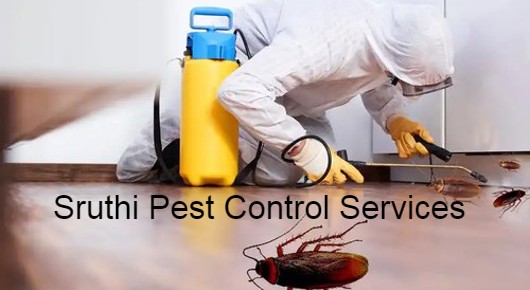 Sruthi Pest Control Services in Seethammadhara, Visakhapatnam