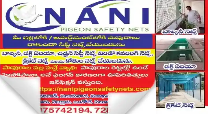 Nani Pigeon Safety Nets in Bus Stand