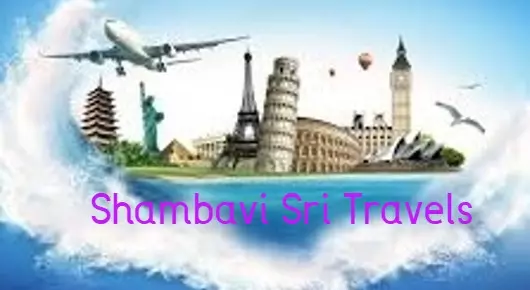 Shambavi Sri Travels in Alak Nagar, Vizianagaram