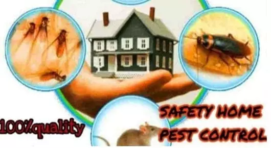 Safety Home Pest Control near Hanamkonda in Warangal