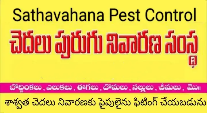 Sathavahana Pest Control in Hunter Road