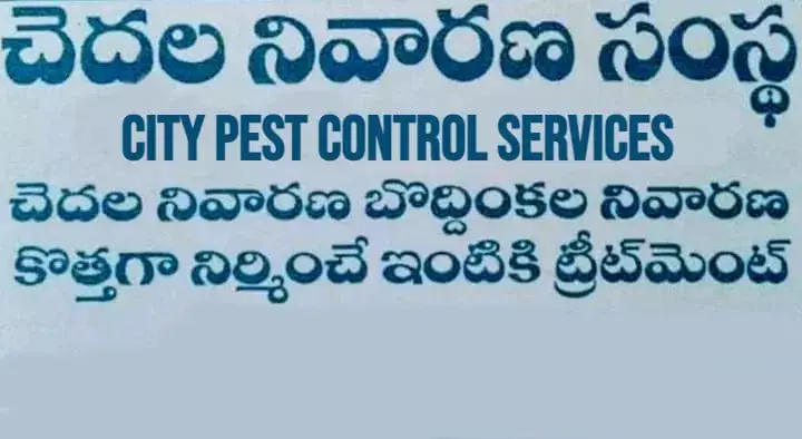 City Pest Control Services in Hanamkonda