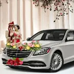 Buses and Cars for Wedding