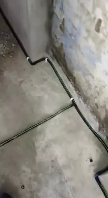 Indian Pest Control Awas Vikas Colony In Amroha - Photo No. 21