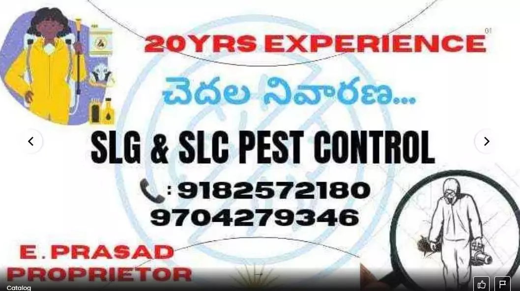 Slg Pest Control Services Kld Road In Anantapur - Photo No. 31