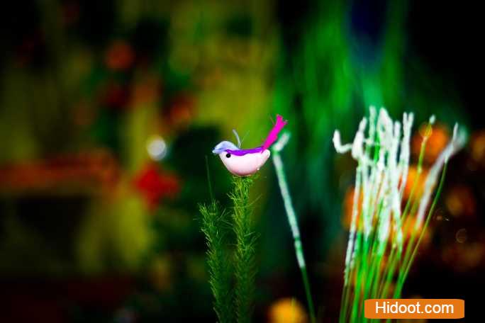 kranthi photography photo studios near kamala nagar in anantapur andhra pradesh - Photo No.4