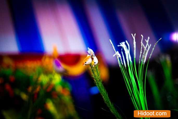 Kranthi Photography Photo Studios Near Kamala Nagar In Anantapur Andhra Pradesh - Photo No. 01