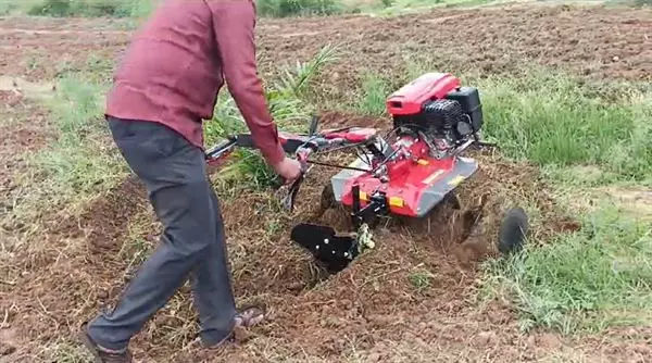Tulasi Agro Tech Apsrtc Bus Stand In Anantapur - Photo No. 21