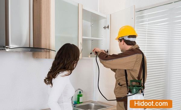 Kr Pest Control Services Near Tapovanam Circle In Anantapur Andhra Pradesh - Photo No. 31