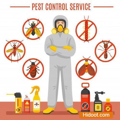 Kr Pest Control Services Near Tapovanam Circle In Anantapur Andhra Pradesh - Photo No. 11
