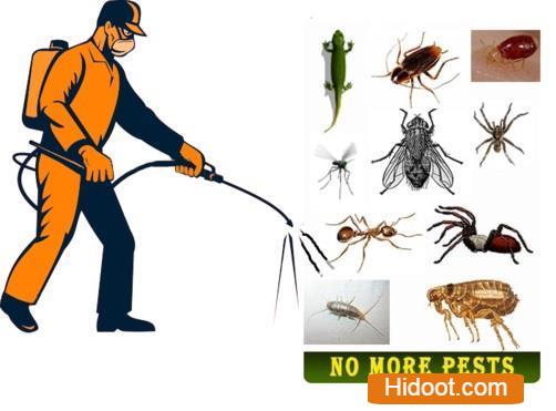 Kr Pest Control Services Near Tapovanam Circle In Anantapur Andhra Pradesh - Photo No. 01