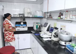 Lalitha Ortho And Spain Care Hospital Tadipatri In Anantapur - Photo No. 01