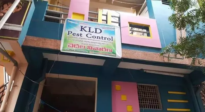 Kld Pest Control In Anantapur Andhra Pradesh - Photo No. 11