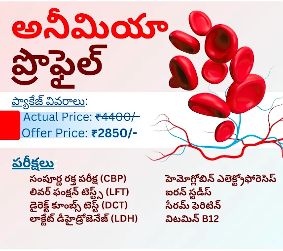 sri balaji diagnostic center tadipatri in anantapur - Photo No.23