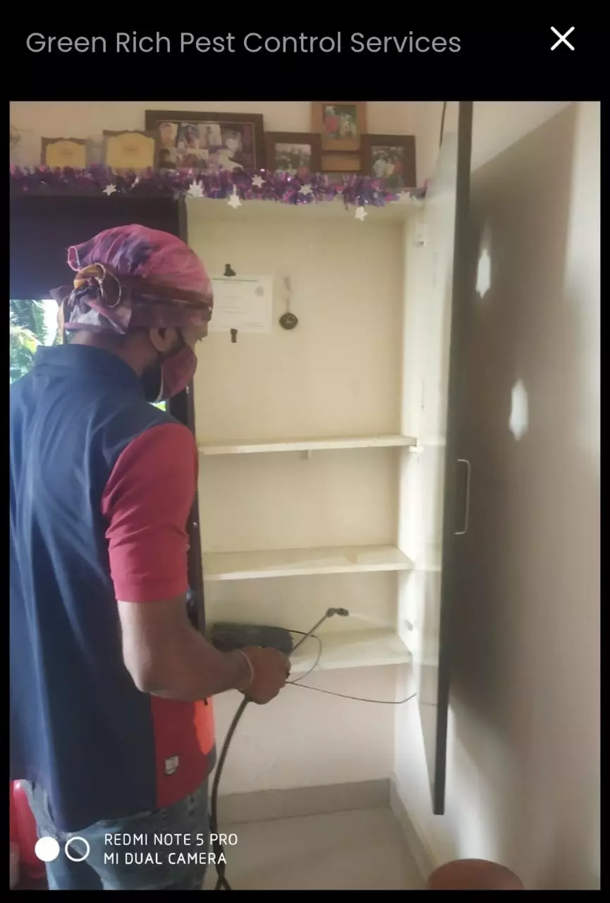 Green Rich Pest Control Services Ck Nagar In Bangalore - Photo No. 31