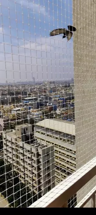 Sharwanand Safety Nets Koramangala In Bengaluru - Photo No. 41