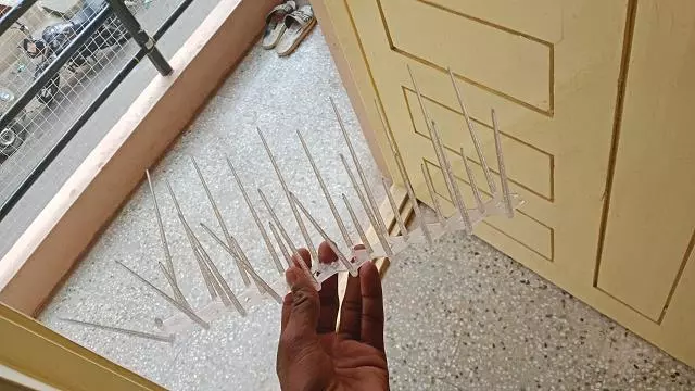 Sharwanand Safety Nets Koramangala In Bengaluru - Photo No. 11