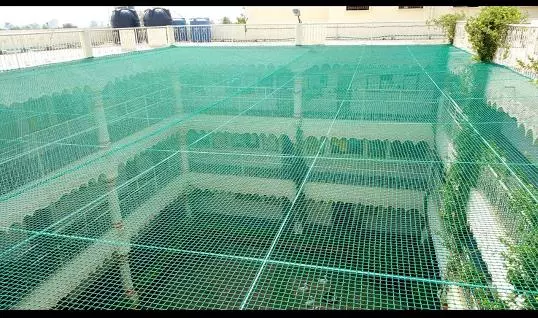 Jdp Pigeon Safety Nets Vaderahalli In Bengaluru - Photo No. 01