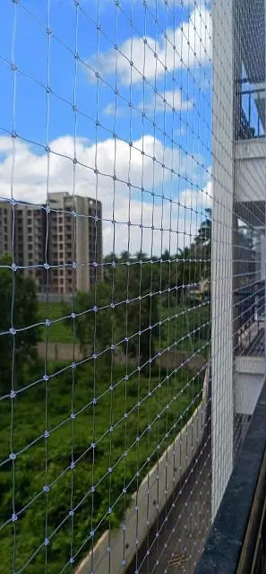 Jdp Pigeon Safety Nets Vaderahalli In Bengaluru - Photo No. 11