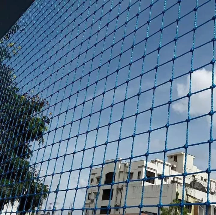 Jdp Pigeon Safety Nets Vaderahalli In Bengaluru - Photo No. 31