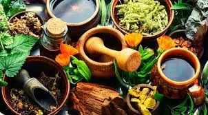 Sri Ayurveda Vaidyasala Bus Stand Centre In Bhadradri Kothagudem - Photo No. 11