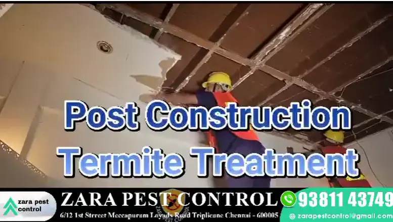 Zara Pest Control Triplicane Triplicane - Photo No. 21