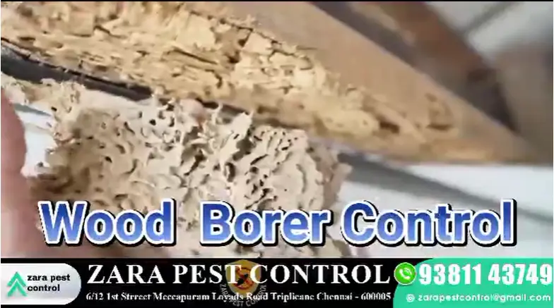 Zara Pest Control Triplicane Triplicane - Photo No. 11