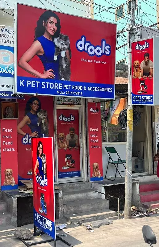 K Pet Store Police Station Road In Chilakaluripet - Photo No. 51