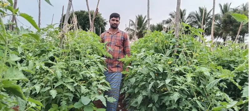 Sri Venkateswara Nursery Punganur In Chittoor Ap - Photo No. 11