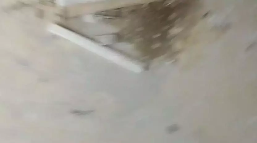 Shivish Pest Management Systems Gandhipuram In Coimbatore - Photo No. 11