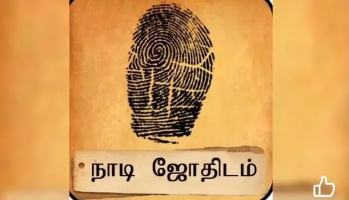 Nadi Jyothishalayam Mangalagiri In Guntur - Photo No. 21