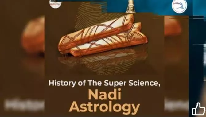 Nadi Jyothishalayam Mangalagiri In Guntur - Photo No. 01