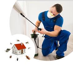 jai bharath pest control sri nagar in guntur - Photo No.14