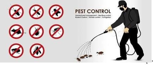 Jai Bharath Pest Control Sri Nagar In Guntur - Photo No. 31