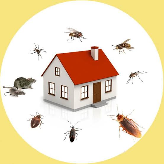 jai bharath pest control sri nagar in guntur - Photo No.9