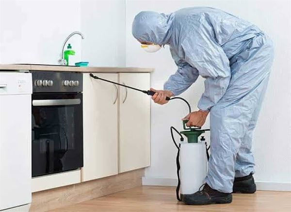 jai bharath pest control sri nagar in guntur - Photo No.8