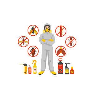 jai bharath pest control sri nagar in guntur - Photo No.7