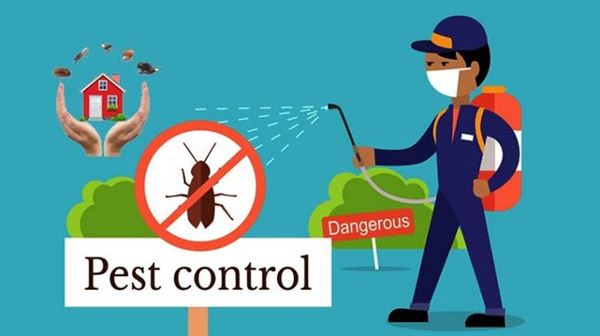 jai bharath pest control sri nagar in guntur - Photo No.6