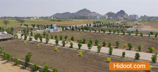 Lella Hari Krishna Reddy Real Estate Near Piduguralla In Guntur - Photo No. 41