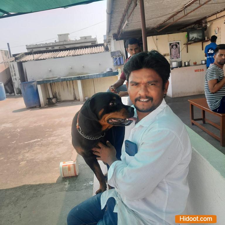 Mohan Pets Shop Pets And Pet Accessories Near R Agraharam In Guntur - Photo No. 11