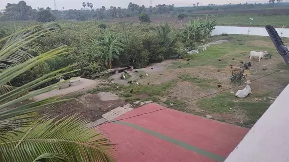 rareman farms mandadam in guntur - Photo No.1