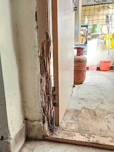 Srinivasa Pest Control Arundelpet In Guntur - Photo No. 11