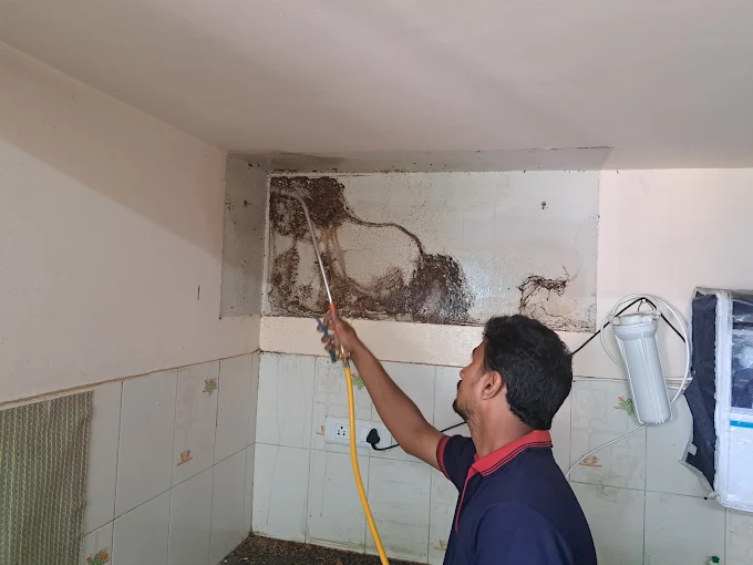 Srinivasa Pest Control Arundelpet In Guntur - Photo No. 31